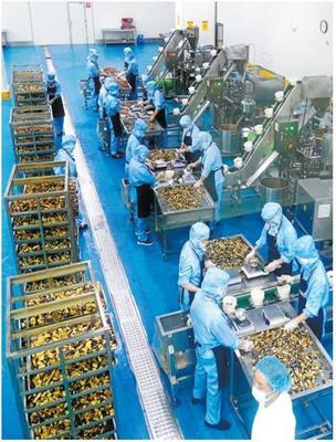 蔬菜产业链全链条优化 提升食品生产竞争力的关键路径