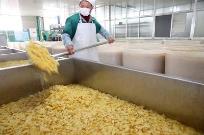 江苏如皋 小萝卜深加工促增收，食品生产助力乡村振兴