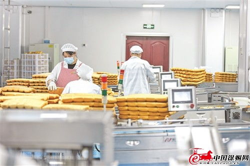 鑫亿迪食品加工项目 以产业融合带动蔬菜规模化种植与食品生产升级