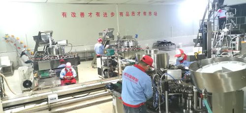 铜梁 龙头企业引领，做大做强休闲食品产业