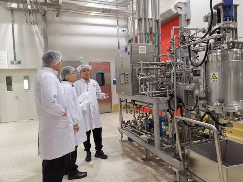提速30%研发成果即上市，这个知名品牌在闵行带来食品生产新体验